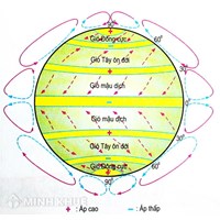 Gió Tây ôn đới là gì? Đặc điểm của gió Tây ôn đới?