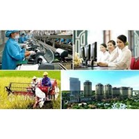 Đối tượng lao động được phân thành mấy loại? Sản xuất của cải vật chất giữ vai trò là?