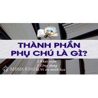 Thành phần phụ chú là gì? Lấy ví dụ về thành phần phụ chú