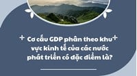 Cơ cấu GDP phân theo khu vực kinh tế của các nước phát triển có đặc điểm là?