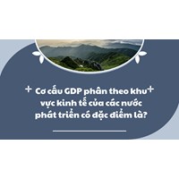 Cơ cấu GDP phân theo khu vực kinh tế của các nước phát triển có đặc điểm là?