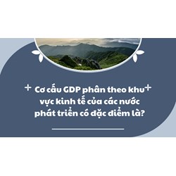 Cơ cấu GDP phân theo khu vực kinh tế của các nước phát triển có đặc điểm là?