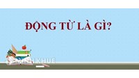 Động từ là gì? Ví dụ và cách sử dụng của động từ?