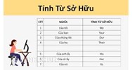 Tính từ sở hữu là gì? Sau tính từ sở hữu là gì?
