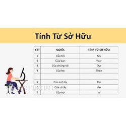 Tính từ sở hữu là gì? Sau tính từ sở hữu là gì?