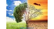 So sánh sự khác nhau giữa khí hậu ôn đới hải dương và khí hậu ôn đới lục địa là gì?