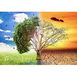 So sánh sự khác nhau giữa khí hậu ôn đới hải dương và khí hậu ôn đới lục địa là gì?