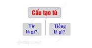 Từ là gì? Tiếng là gì? Cấu tạo từ trong Tiếng Việt?