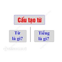 Từ là gì? Tiếng là gì? Cấu tạo từ trong Tiếng Việt?
