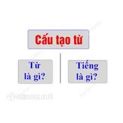 Từ là gì? Tiếng là gì? Cấu tạo từ trong Tiếng Việt?