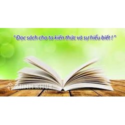 Vai trò và ý nghĩa của việc đọc sách là gì? Những câu nói hay về giá trị của sách và đọc sách