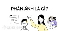 Phản ánh là gì? Lấy ví dụ về phản ánh trong triết học