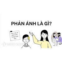 Phản ánh là gì? Lấy ví dụ về phản ánh trong triết học