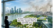 Ô nhiễm môi trường là gì? Dấu hiệu, nguyên nhân và cách khắc phục