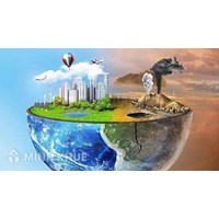 Ô nhiễm môi trường là gì? Dấu hiệu, nguyên nhân và cách khắc phục