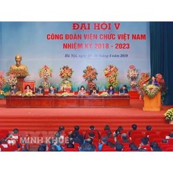 Mẫu tờ trình bầu bổ sung ban chấp hành công đoàn mới nhất