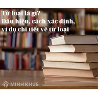 Từ loại là gì? Dấu hiệu, cách xác định, ví dụ chi tiết về từ loại
