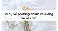 Ví dụ về phương châm về lượng và về chất