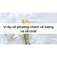 Ví dụ về phương châm về lượng và về chất