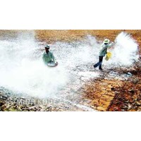 Bón vôi cho đất mặn có tác dụng gì? Ý nghĩa của việc bón vôi cải tạo đất mặn