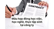 Mẫu Hợp đồng học việc, học nghề, thực tập sinh tại công ty