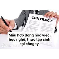 Mẫu Hợp đồng học việc, học nghề, thực tập sinh tại công ty