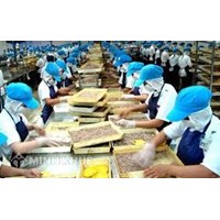 Thế mạnh của Lao Động Việt Nam là? Mỗi năm bình quân nguồn lao động nước ta có thêm?