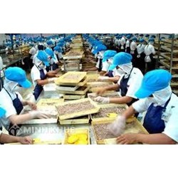 Thế mạnh của Lao Động Việt Nam là? Mỗi năm bình quân nguồn lao động nước ta có thêm?