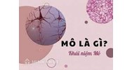 Mô là gì? Phân loại và chức năng của các loại mô?