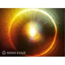 Ta nhìn thấy bông hoa màu đỏ vì? Ta nhìn thấy vật màu đen vì?