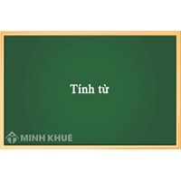 Tính từ là gì? Sau tính từ là gì? Lấy ví dụ về tính từ