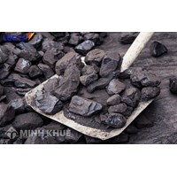 Than là nguồn nhiên liệu quan trọng cho? Địa lý lớp 10