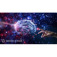 Tâm lý học là gì? Đối tượng, phạm vi nghiên cứu của tâm lý học?