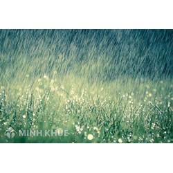Tổng hợp những bài hát về mưa nhẹ nhàng, hay nhất