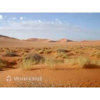 Đặc điểm khí hậu của vùng hoang mạc là? Địa lý lớp 7