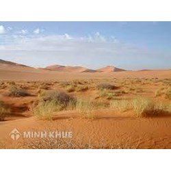 Đặc điểm khí hậu của vùng hoang mạc là? Địa lý lớp 7