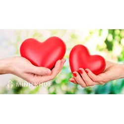Đoạn văn từ 5 đến 7 câu về sự chia sẻ đồng cảm trong cuộc sống chọn lọc hay nhất