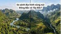 So sánh địa hình vùng núi Đông Bắc và Tây Bắc?