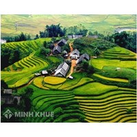 So sánh địa hình vùng núi Đông Bắc và Tây Bắc? Địa lý lớp 8