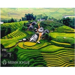So sánh địa hình vùng núi Đông Bắc và Tây Bắc? Địa lý lớp 8