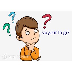 Voyeu là gì? Voyeur là gì? Ý nghĩa của voyeur trong tiếng Anh là gì?