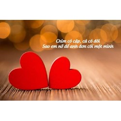 Stt thả thính cuối năm cũ đầu năm mới hay nhất