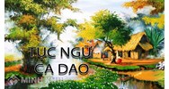 Đoạn văn ghi lại cảm xúc về một bài thơ lục bát chọn lọc hay nhất