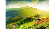 Thiên nhiên vùng núi Đông Bắc khác với Tây Bắc ở những điểm nào?