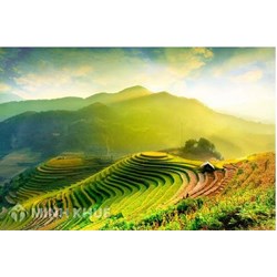 Thiên nhiên vùng núi Đông Bắc khác với Tây Bắc ở những điểm nào?