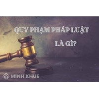 Ví dụ về quy phạm pháp luật hình sự, dân sự, hành chính?