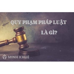 Ví dụ về quy phạm pháp luật hình sự, dân sự, hành chính?