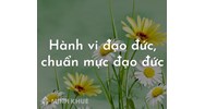 Ví dụ về hành vi đạo đức, chuẩn mực đạo đức của học sinh, cá nhân?