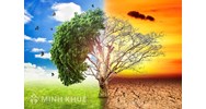 Đặc điểm khí hậu của môi trường xích đạo ẩm là gì? Địa lý lớp 7