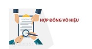 Ví dụ về các trường hợp hợp đồng vô hiệu từng phần, toàn bộ?